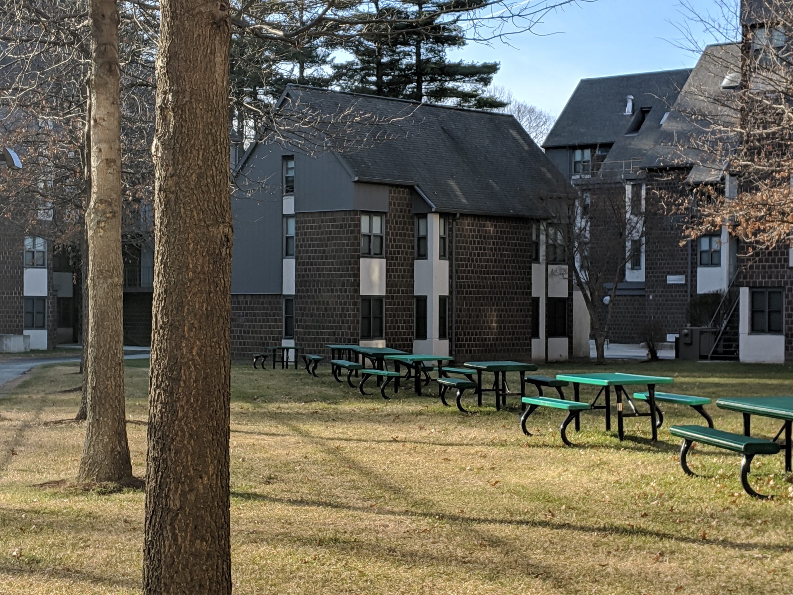 An image of Chandler Village at Worcester State