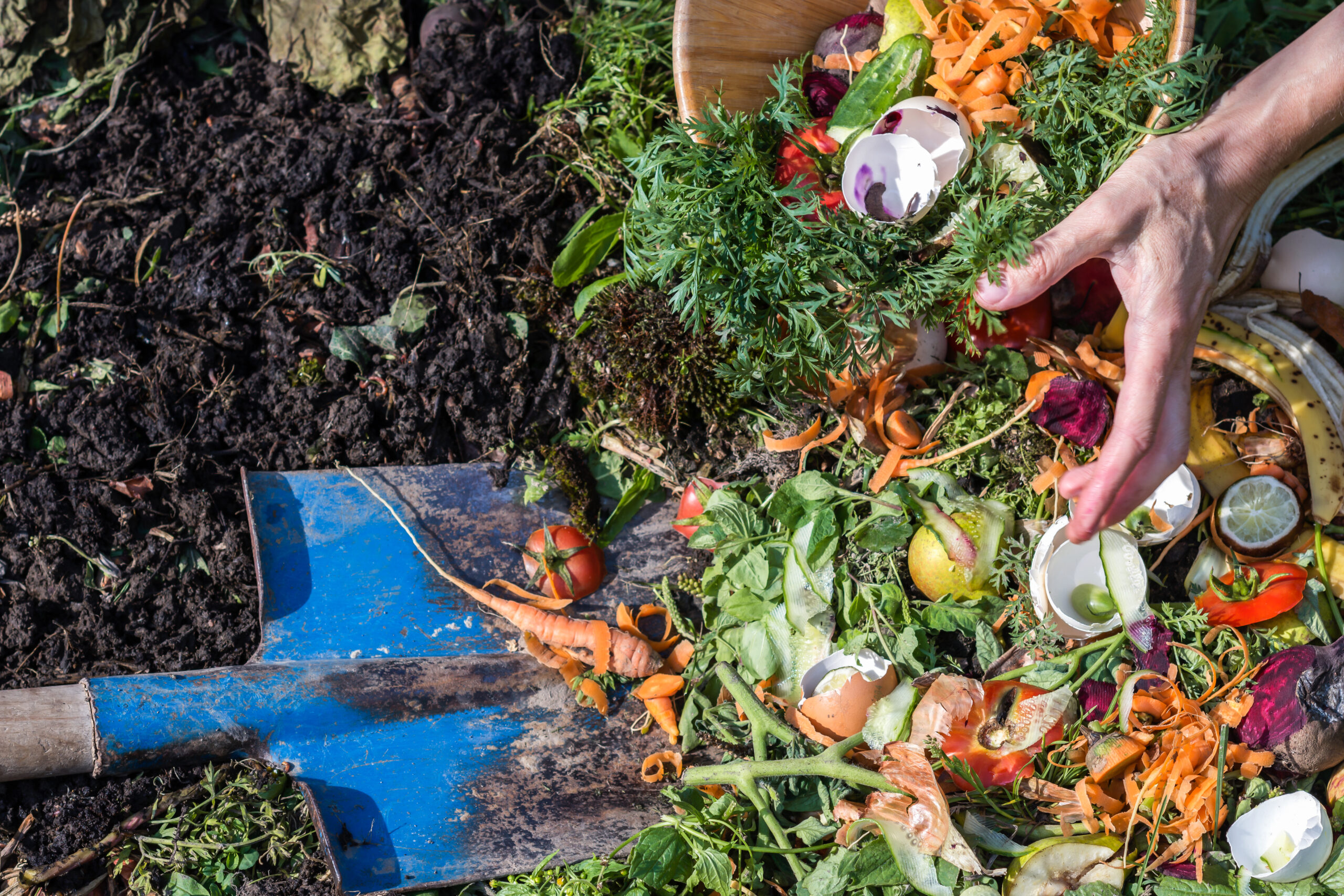 Compost box outdoors full with garden browns and greens and food wastes, woman throwing away wastes, close up view, sustainable life concept