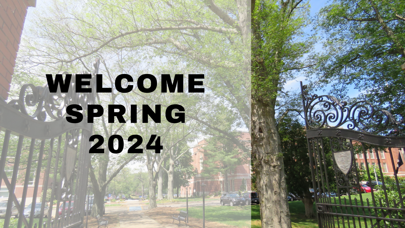 Welcome Spring 2024!