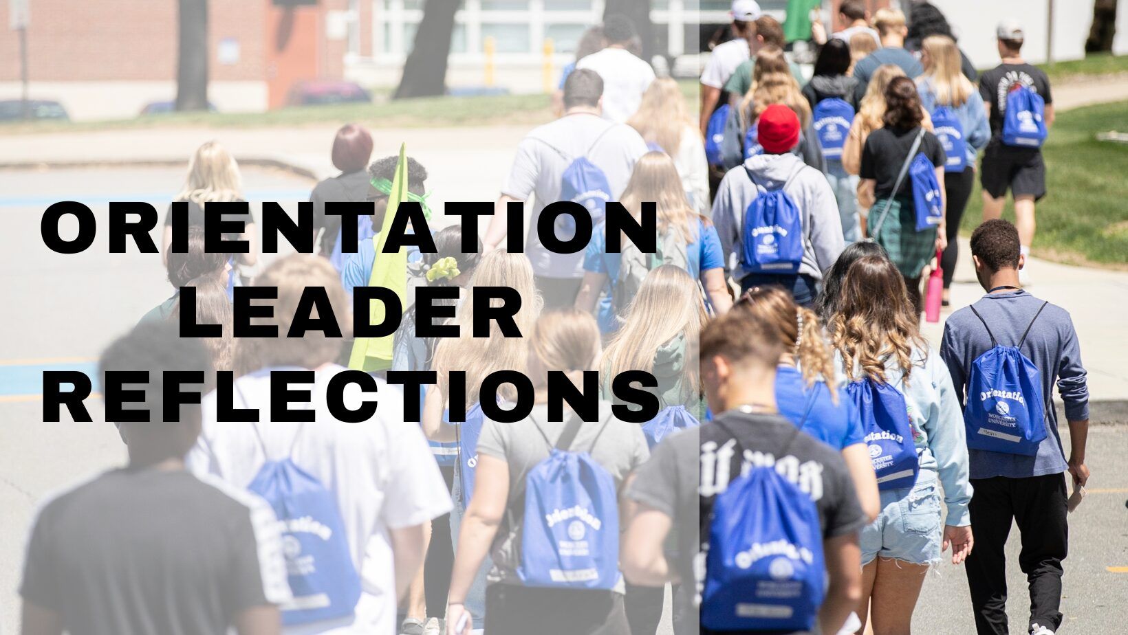 Orientation Leader Reflections