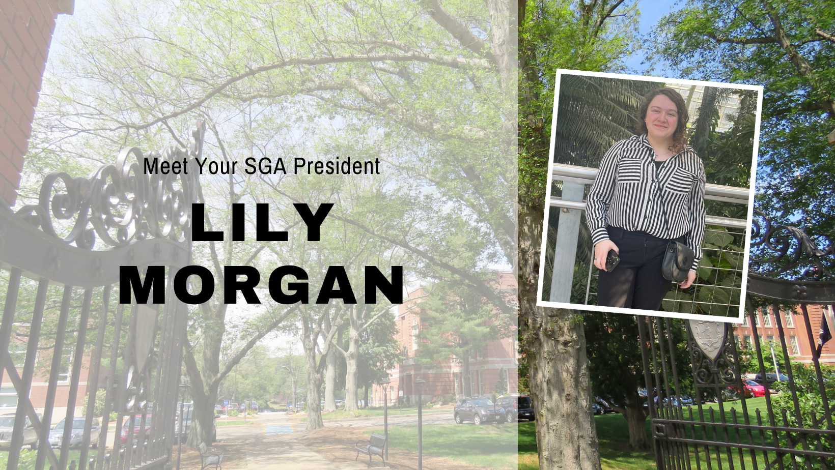 Meet Lily Morgan, SGA President