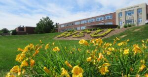 wsu landscape with yellow flowers