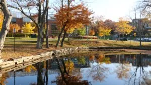Image of fall on campus with Lake Ellie