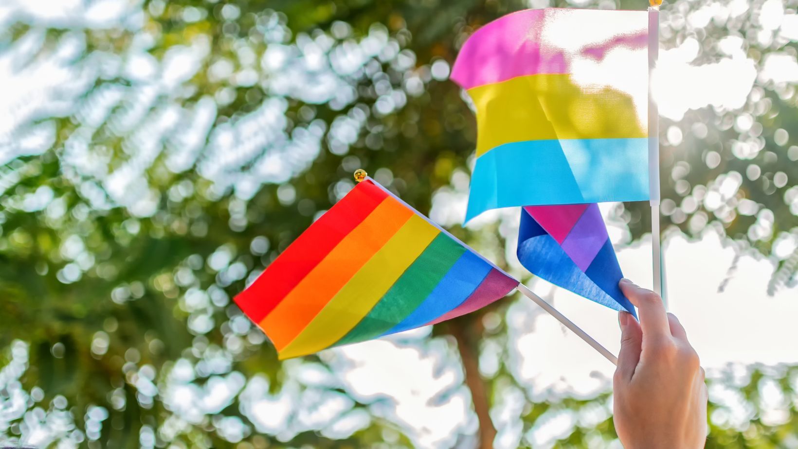 Embracing Each Color: Learn More about the LGBTQIA+ Community