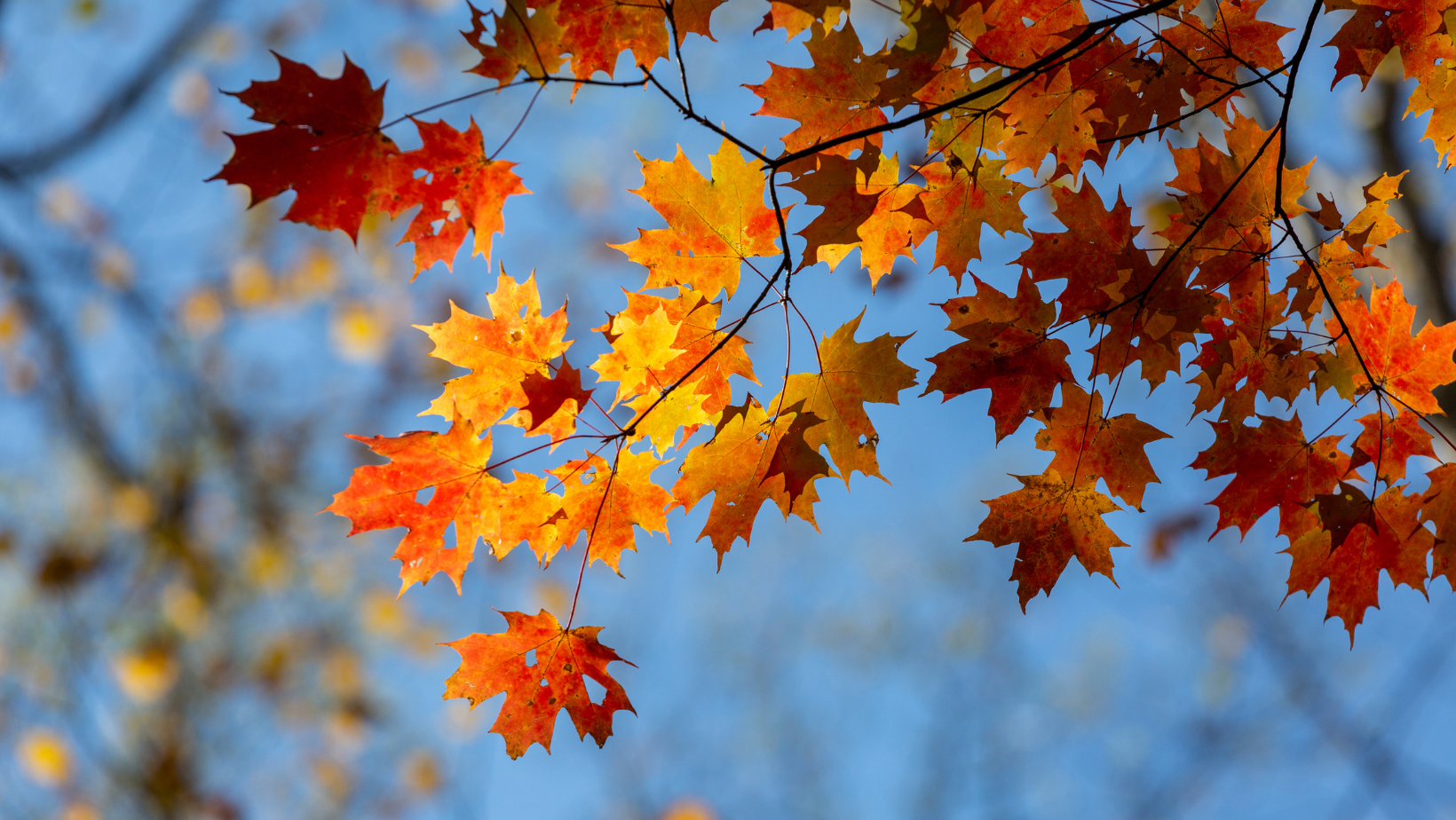 Making Change | Identity Months in the Fall Semester