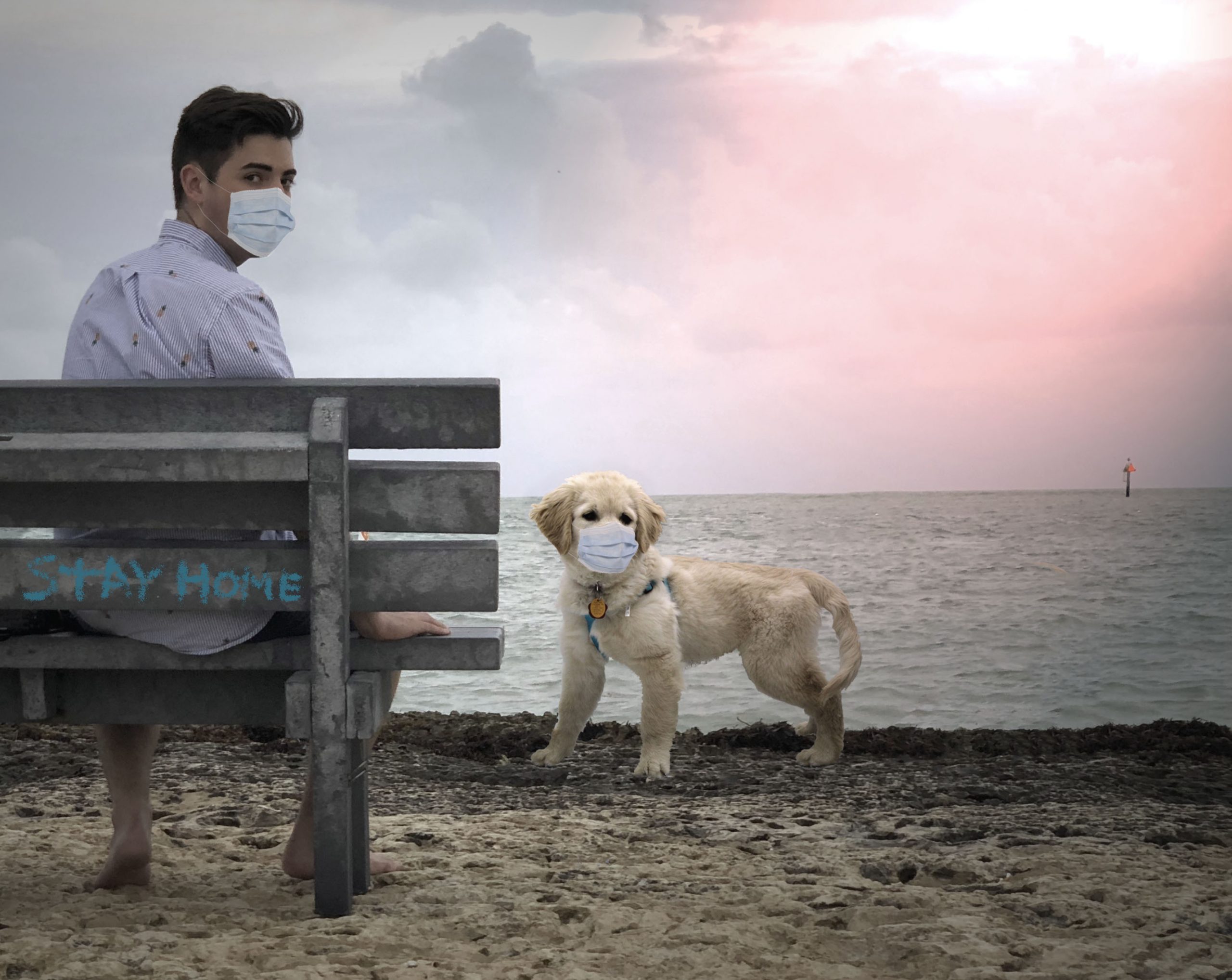 Man wearing COVID mask sitting on bench that reads "stay home"and dog wearing COVID mask are at the beach