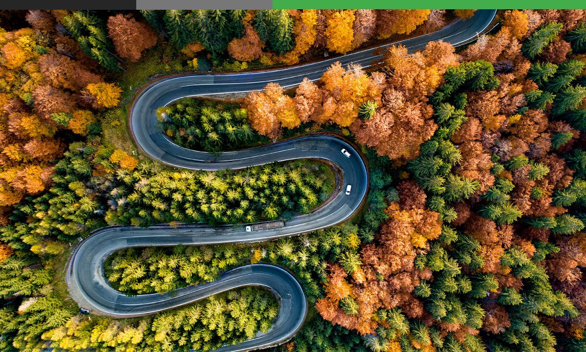 A winding road curves through a forest with green and orange autumn trees, seen from above. Three vehicles are driving along the road.