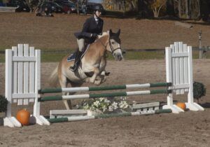 The Ultimate Equestrian Challenge