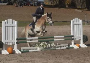 The Ultimate Equestrian Challenge
