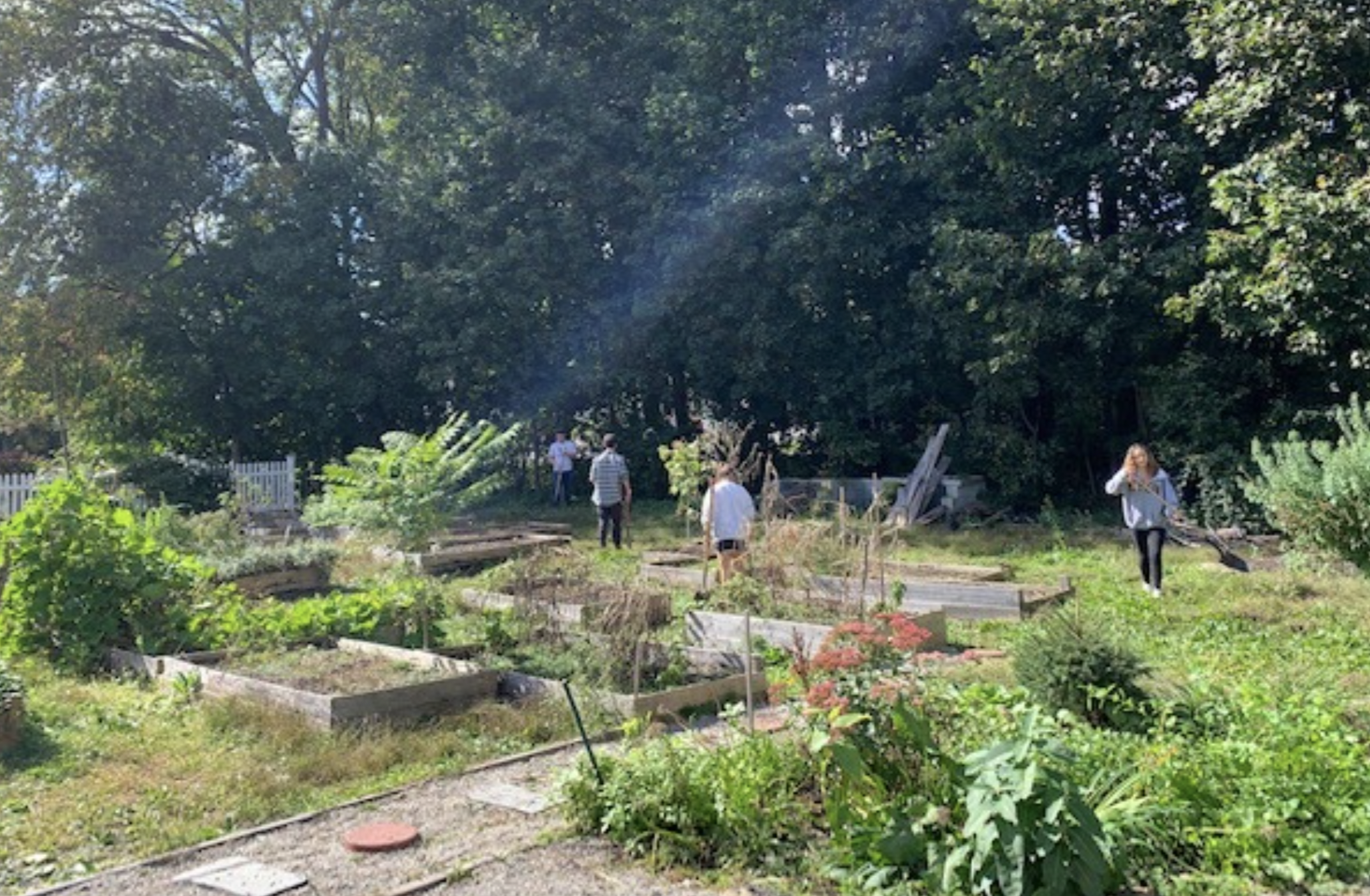 Worcester State Urban Action Students participating in tending to a community garden