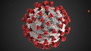 The coronavirus under a microscope