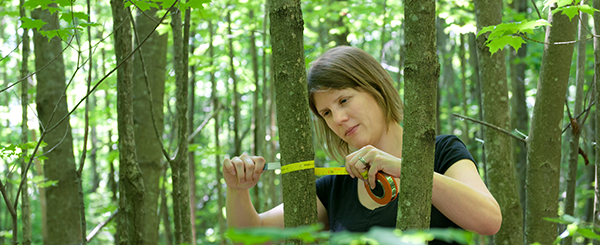 Performing research in forrest as a Worcester State student