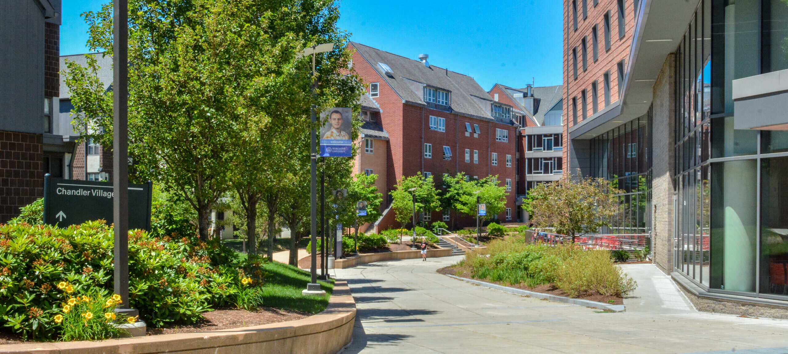 The Worcester State campus on a sunny spring day