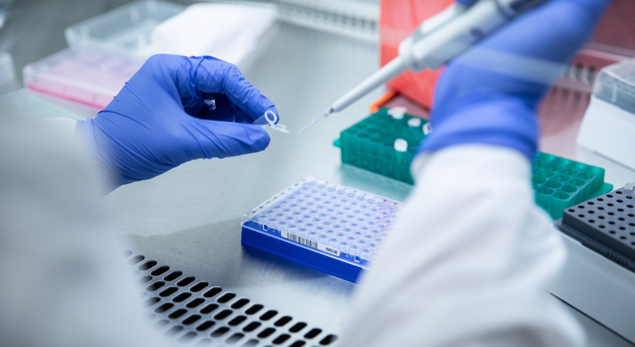 A student putting liquid into test tubes in a Biology Laboratory