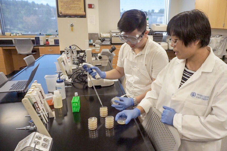A Worcester state chemistry student and chemistry professor performing research