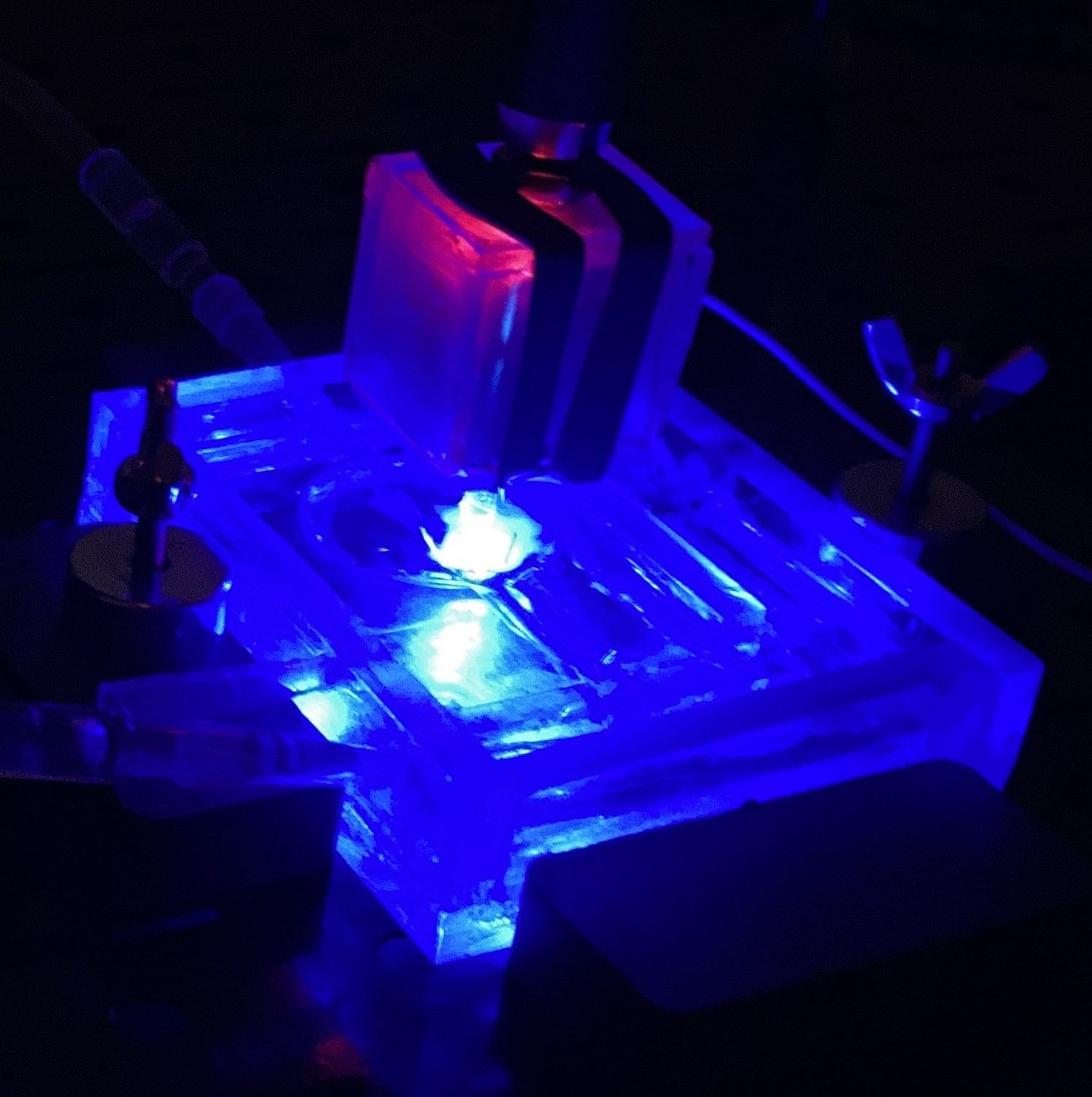 A close-up of a transparent device illuminated by blue and red LED lights, with attached wires and components visible in a dark environment.