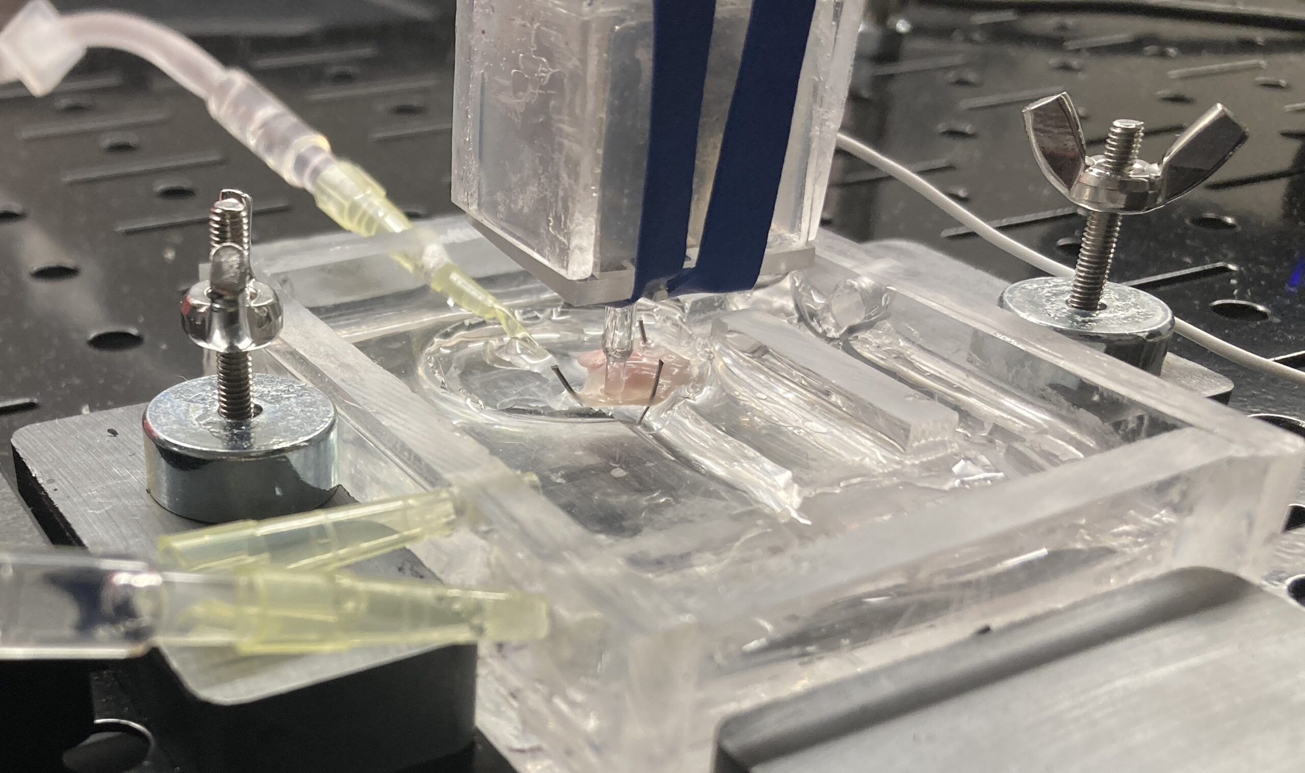 A close-up view of a laboratory setup with a clear plastic device, metal fasteners, tubing, and a central nozzle dispensing liquid onto the device.