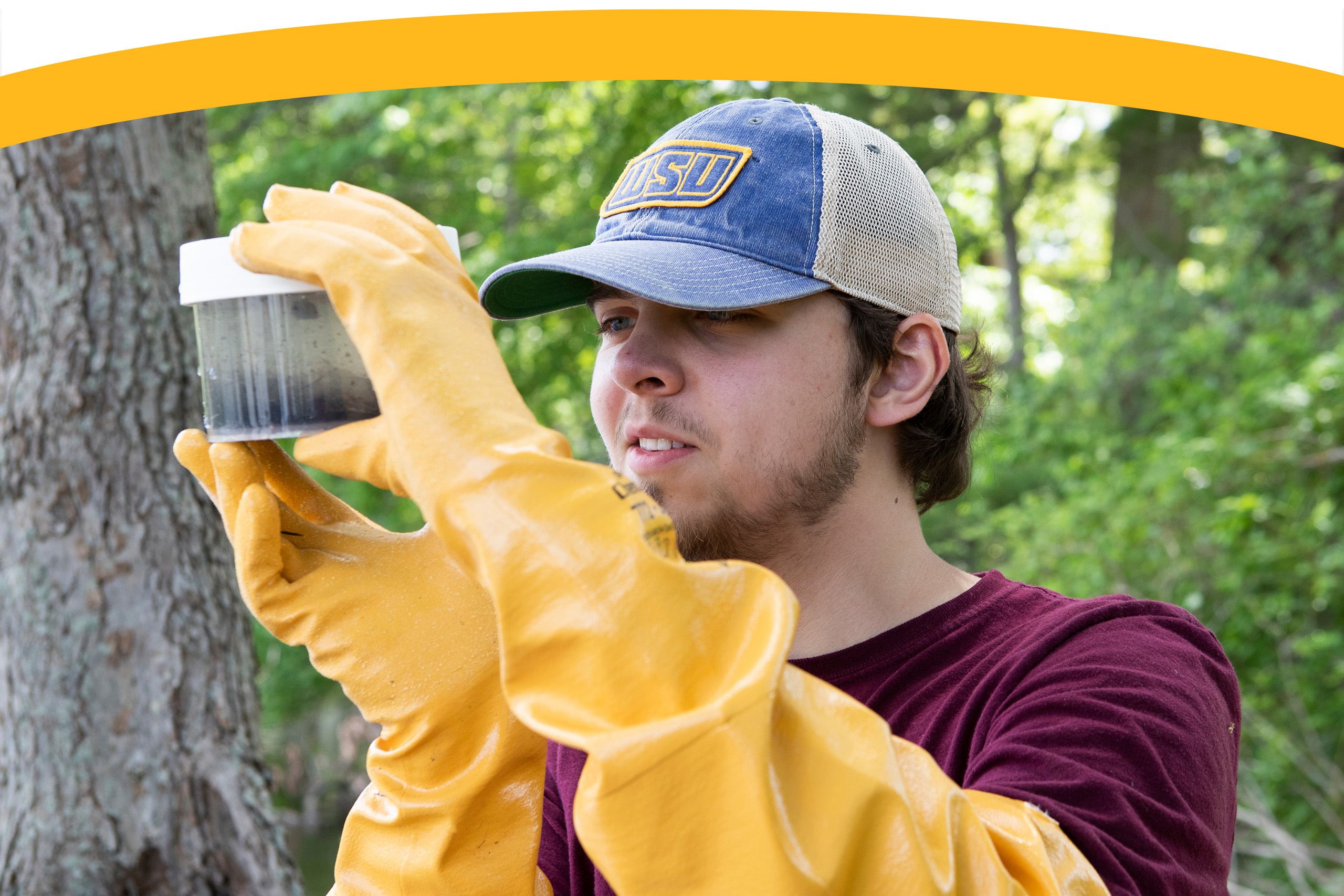 A person wearing yellow gloves and a cap examines a clear container with dark sediment inside, standing outdoors near trees.